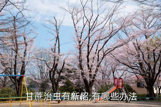 ,甘蔗的種植打什么農(nóng)藥防蟲