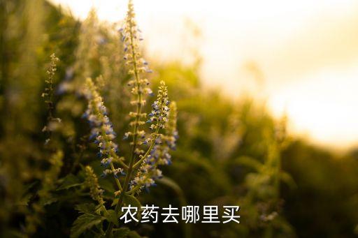 成都農藥市場在什么地方,昌吉農藥市場在什么地方