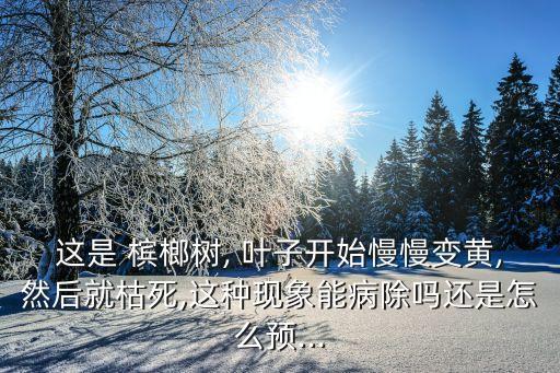 ,檳榔苗葉子萎縮用什么農藥