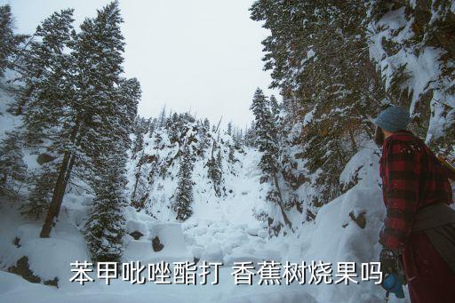 什么農藥能殺死香蕉樹,香蕉樹爛心用什么農藥