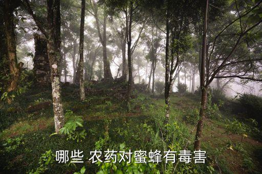 密蜂被農藥中毒 ,有什么方法解決,蜂農藥中毒用什么藥