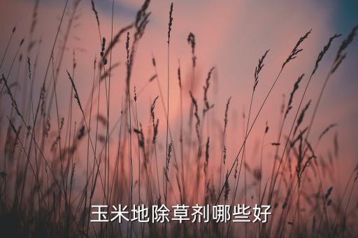 玉米治蟲用什么農藥好,玉米噴什么農藥能高產啊
