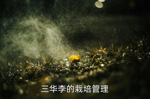 三華李的栽培管理