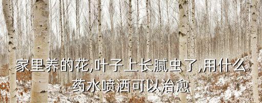 什么能代替農(nóng)藥打蟲,花用什么農(nóng)藥打蟲