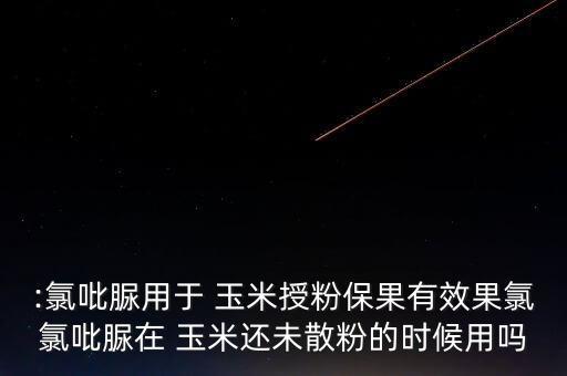 玉米伴侶農(nóng)藥成分是什么,玉米農(nóng)藥的用處是什么