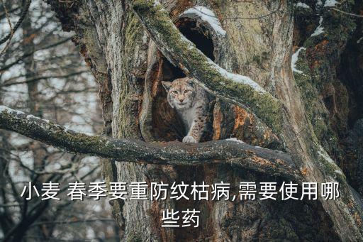 春季施什么農藥好,果子爛了施什么農藥