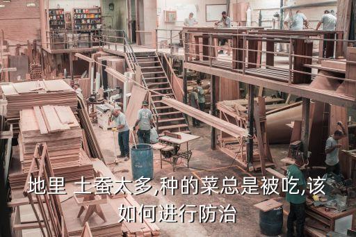 地下害蟲土蠶用什么農藥,什么農藥治地下土蠶