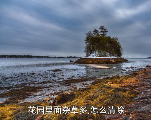 花園定期用什么農藥,牡丹花定期噴什么農藥
