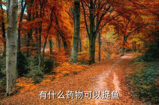 騰訊捕魚游戲叫什么,捕魚的農藥叫什么