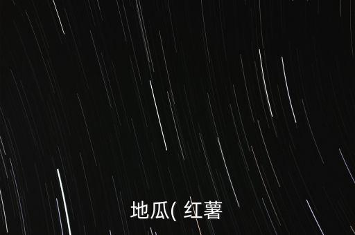 地瓜( 紅薯