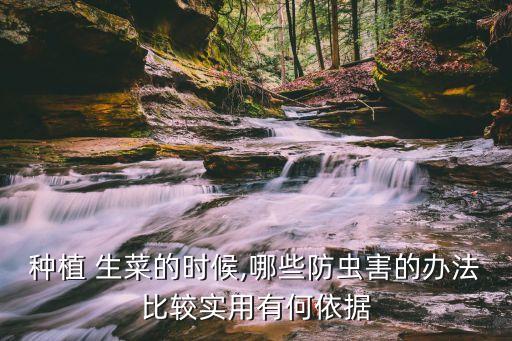生菜一般都打什么農藥,生菜噴什么農藥好使些