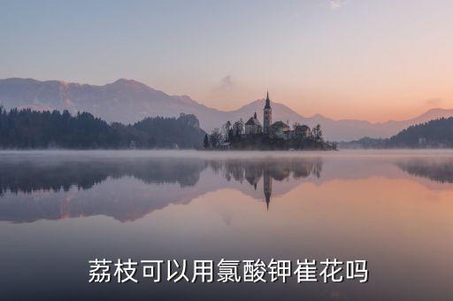  荔枝可以用氯酸鉀崔花嗎