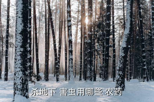 殺地下 害蟲用哪些 農藥