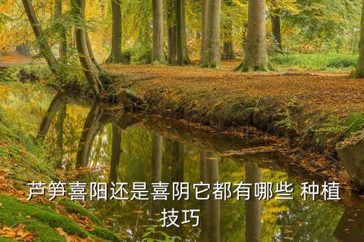  蘆筍喜陽還是喜陰它都有哪些 種植技巧