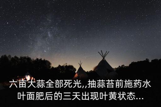 六畝大蒜全部死光,,抽蒜苔前施藥水葉面肥后的三天出現(xiàn)葉黃狀態(tài)...