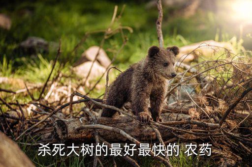 ,有什么農(nóng)藥能讓雜樹死掉