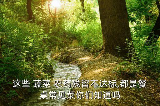 這些 蔬菜 農(nóng)藥殘留不達標(biāo),都是餐桌常見菜你們知道嗎