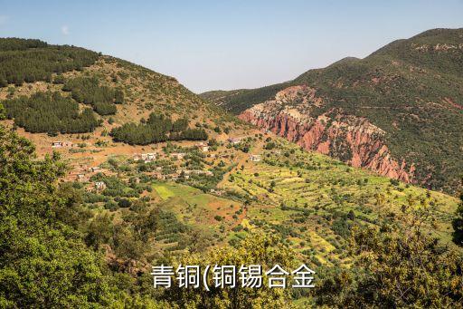 ,青銅相當于農藥什么