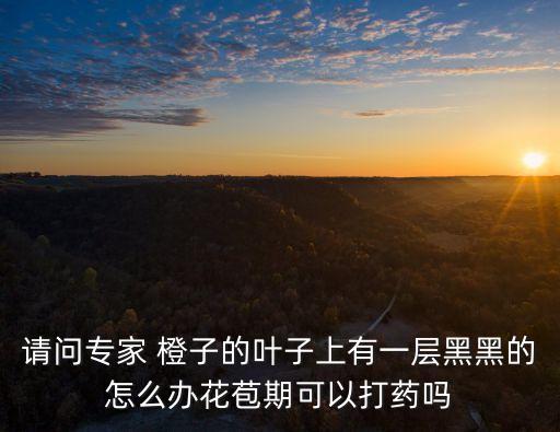 請問專家 橙子的葉子上有一層黑黑的怎么辦花苞期可以打藥嗎
