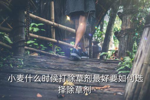 小麥病毒病哪種農藥最好,小麥用什么打農藥最好