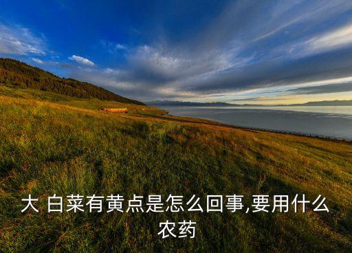 大 白菜有黃點(diǎn)是怎么回事,要用什么 農(nóng)藥