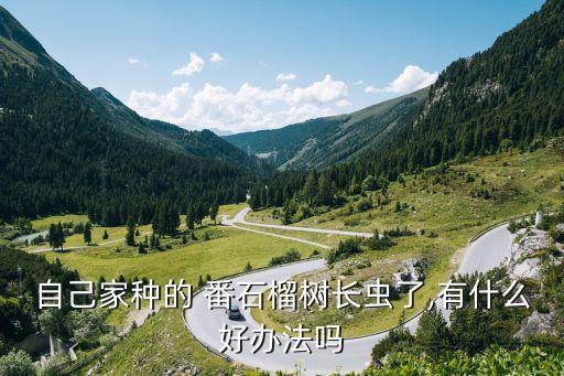,番石榴打什么農藥多花