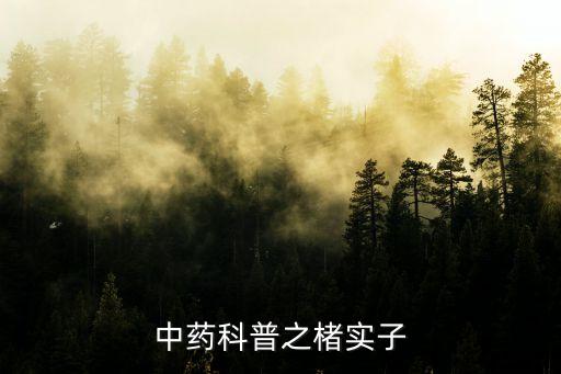 中藥科普之楮實子
