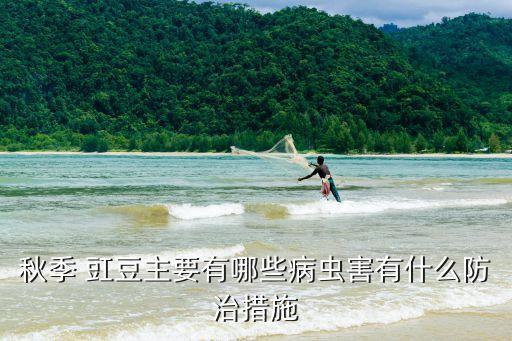 ,豇豆長虱子了打什么農藥