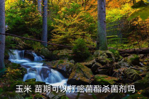 玉米一般打什么農(nóng)藥,玉米苗期噴農(nóng)藥用什么藥