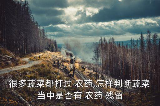 很多蔬菜都打過(guò) 農(nóng)藥,怎樣判斷蔬菜當(dāng)中是否有 農(nóng)藥 殘留