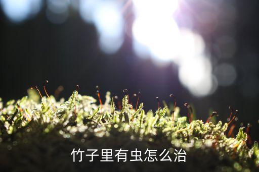 竹子里有蟲怎么治