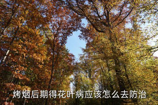 ,烤煙長不大打什么農(nóng)藥