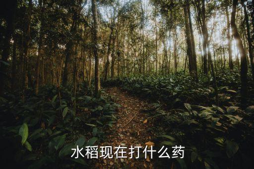 水稻出穗期用什么農藥最好
