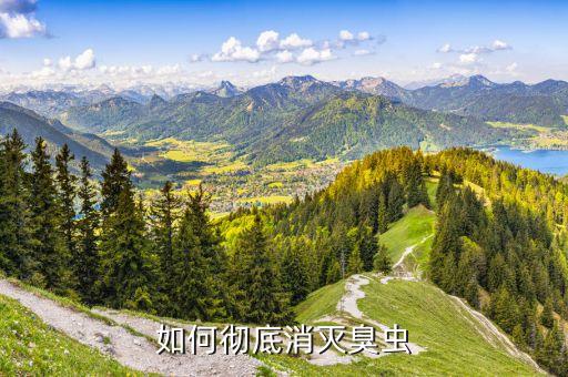 臭屁蟲用什么農藥治療