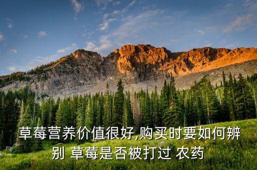 草莓有農(nóng)藥味吃了沒事吧,草莓農(nóng)藥什么味的