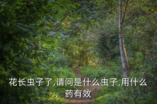 花長(zhǎng)蟲子了,請(qǐng)問(wèn)是什么蟲子,用什么藥有效