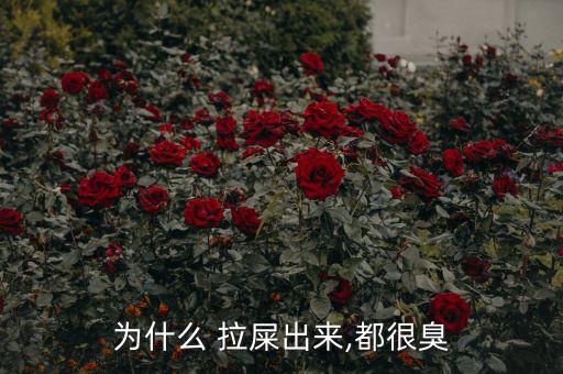 為什么 拉屎出來,都很臭