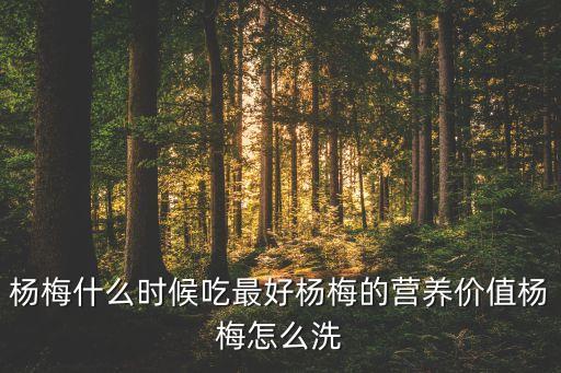 楊梅什么時候吃最好楊梅的營養價值楊梅怎么洗