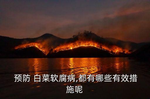  預防 白菜軟腐病,都有哪些有效措施呢