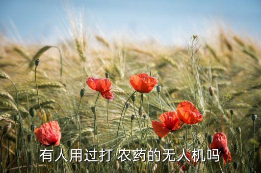 有人用過打 農藥的無人機嗎