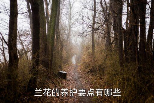 ,為什么不用農(nóng)藥澆蘭花