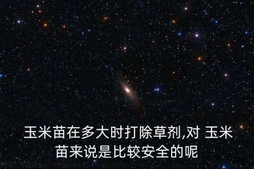 大蒜苗怕什么農藥,玉米苗最怕什么農藥6