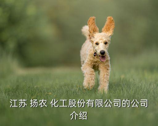 江蘇 揚(yáng)農(nóng) 化工股份有限公司的公司介紹