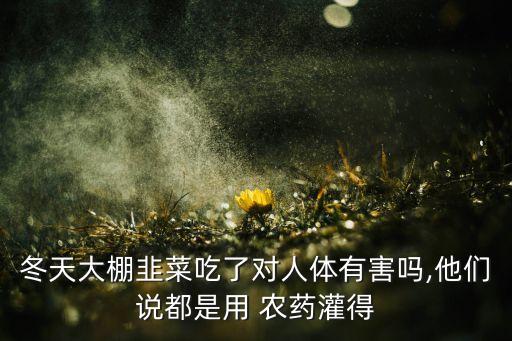 ,韭黃為什么不能用農藥