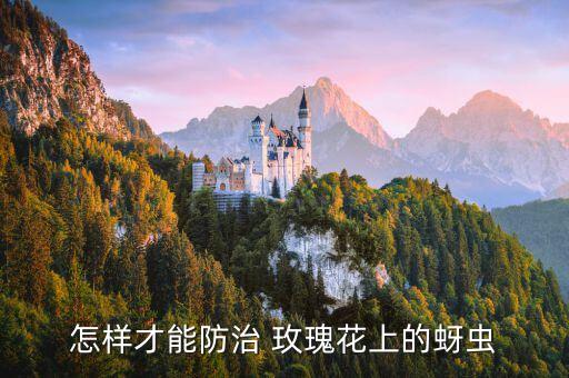 ,玫瑰花殘敗用什么農(nóng)藥