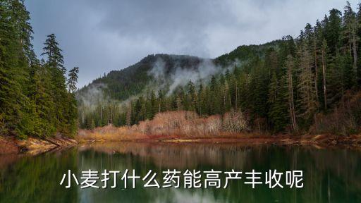  小麥打什么藥能高產豐收呢