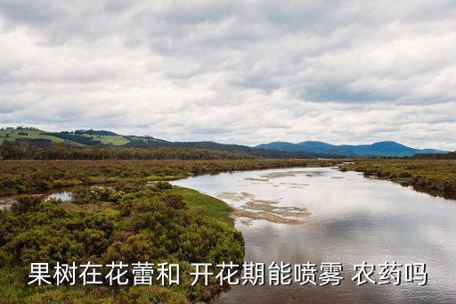 果樹在花蕾和 開花期能噴霧 農(nóng)藥嗎