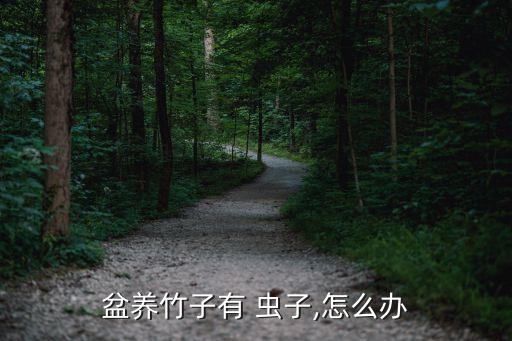 盆養竹子有 蟲子,怎么辦