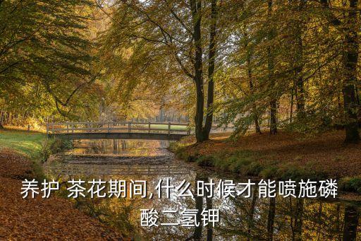 養護 茶花期間,什么時候才能噴施磷酸二氫鉀