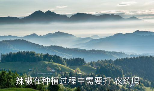 辣椒不能用什么農藥,緬甸辣椒種什么農藥好